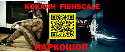 бошки Камышлов