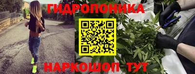 каннабис Канаш