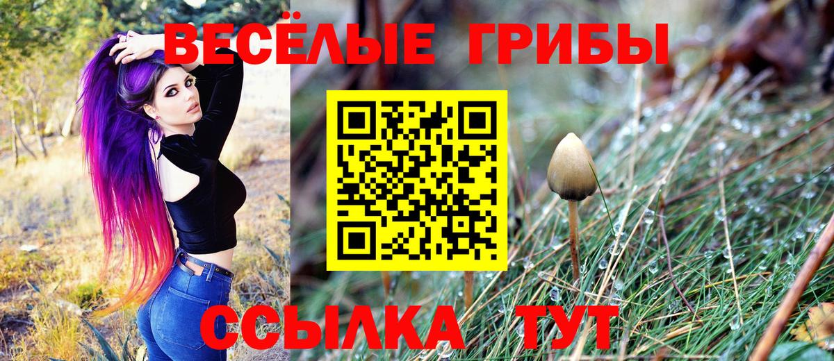 Гулькевичи  Галлюциногенные грибы Magic Shrooms  Вход с VPN 